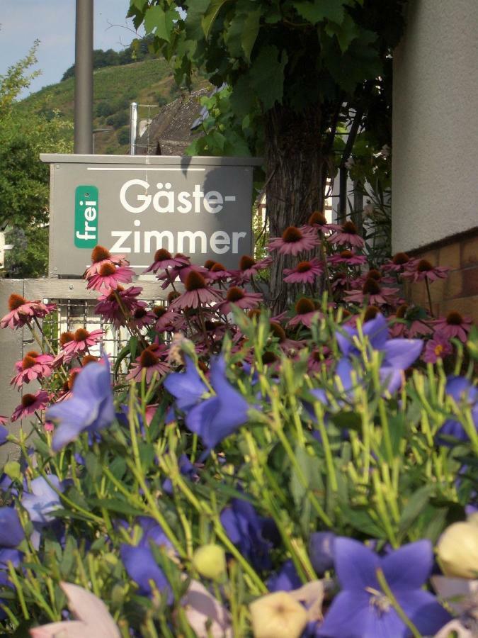 Gaestehaus Weberskirch エルンスト エクステリア 写真